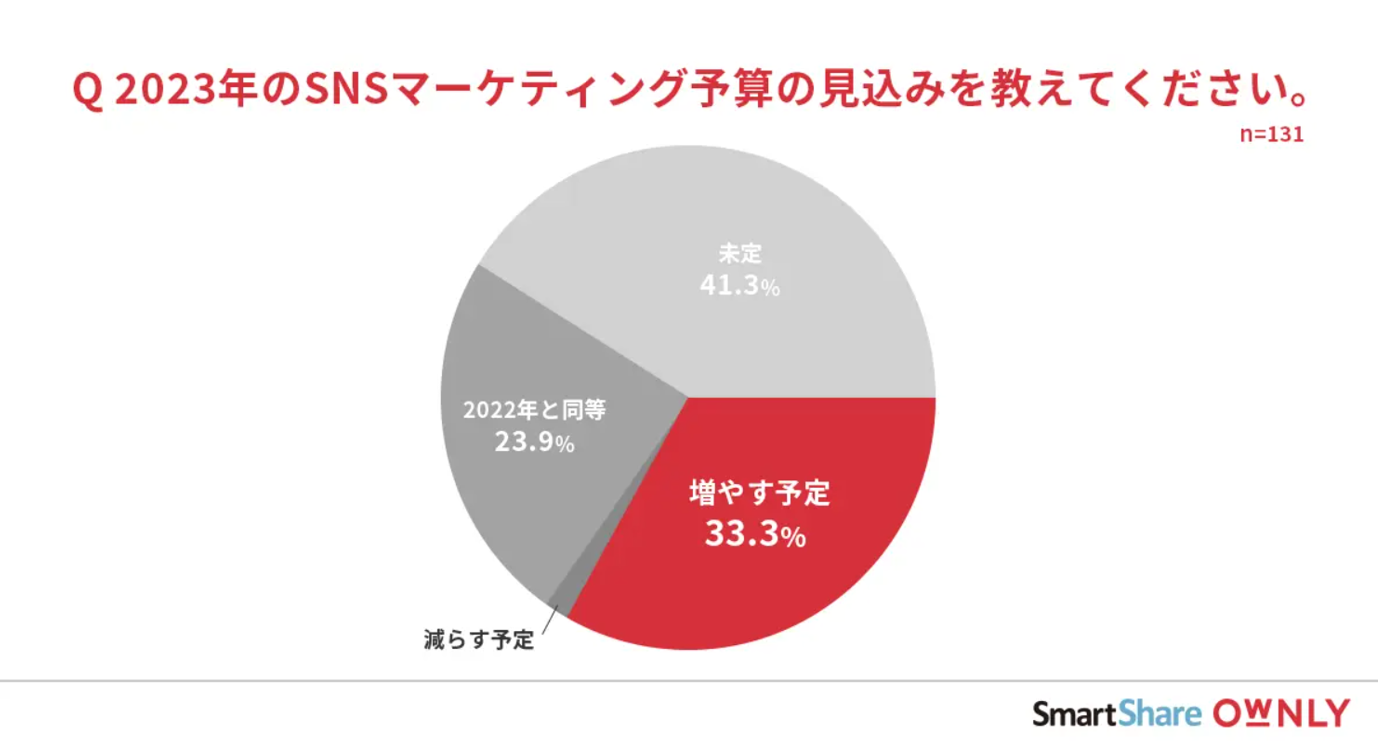 SNSマーケティングの企業動向、SNSマーケティングに対する予算について